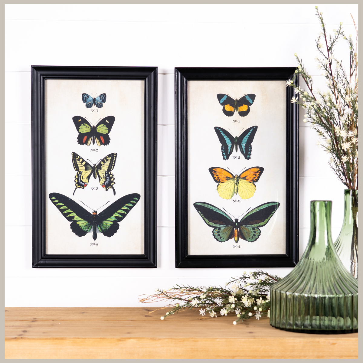 A pair of Butterfly Prints with black framing. Pints each have four butterflies in a vertical display. 