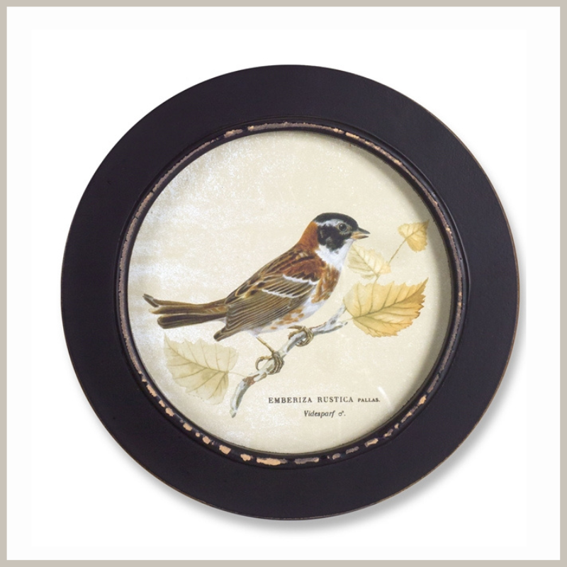 A round framed bird print. Bird is different shades of brown. Frame is weathered black. 