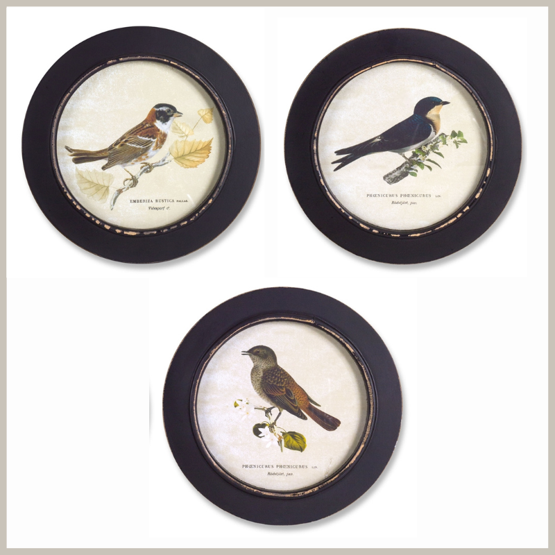 A set of 3 round framed bird prints